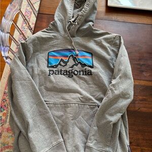 Patagonia Gray Hoodie with Vibrant Logo